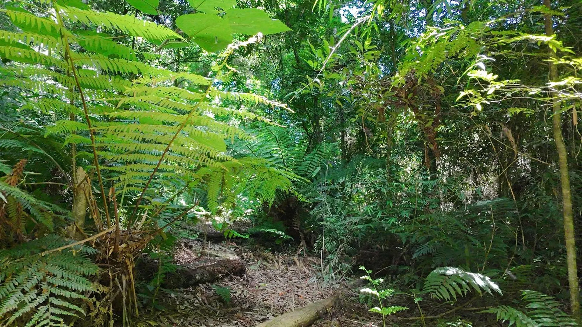 Ecopousada - Sitio Aborigene Sao Lourenco do Oeste