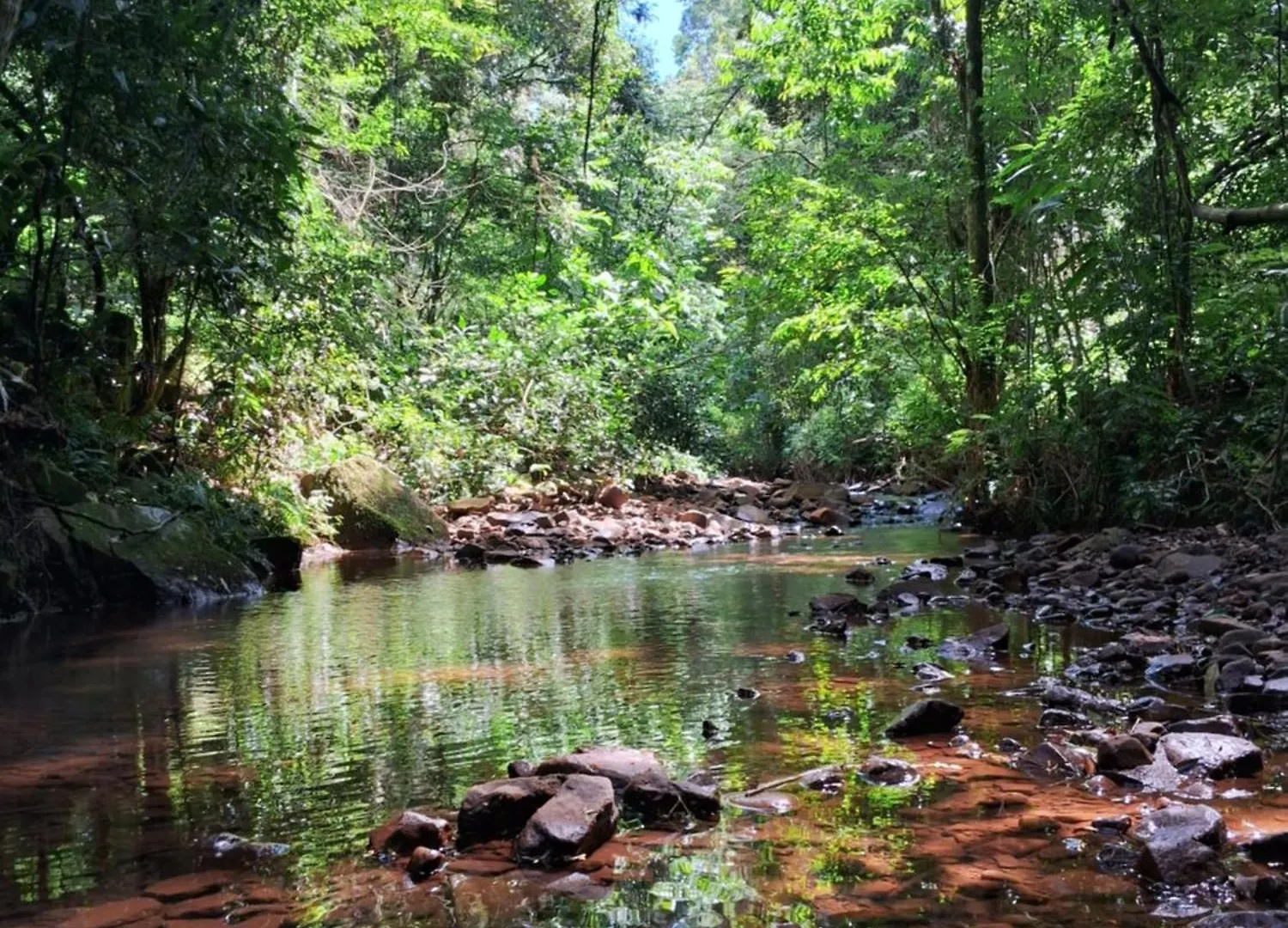 Quarto em Acomodações Particulares Ecopousada - Sitio Aborigene Sao Lourenco do Oeste