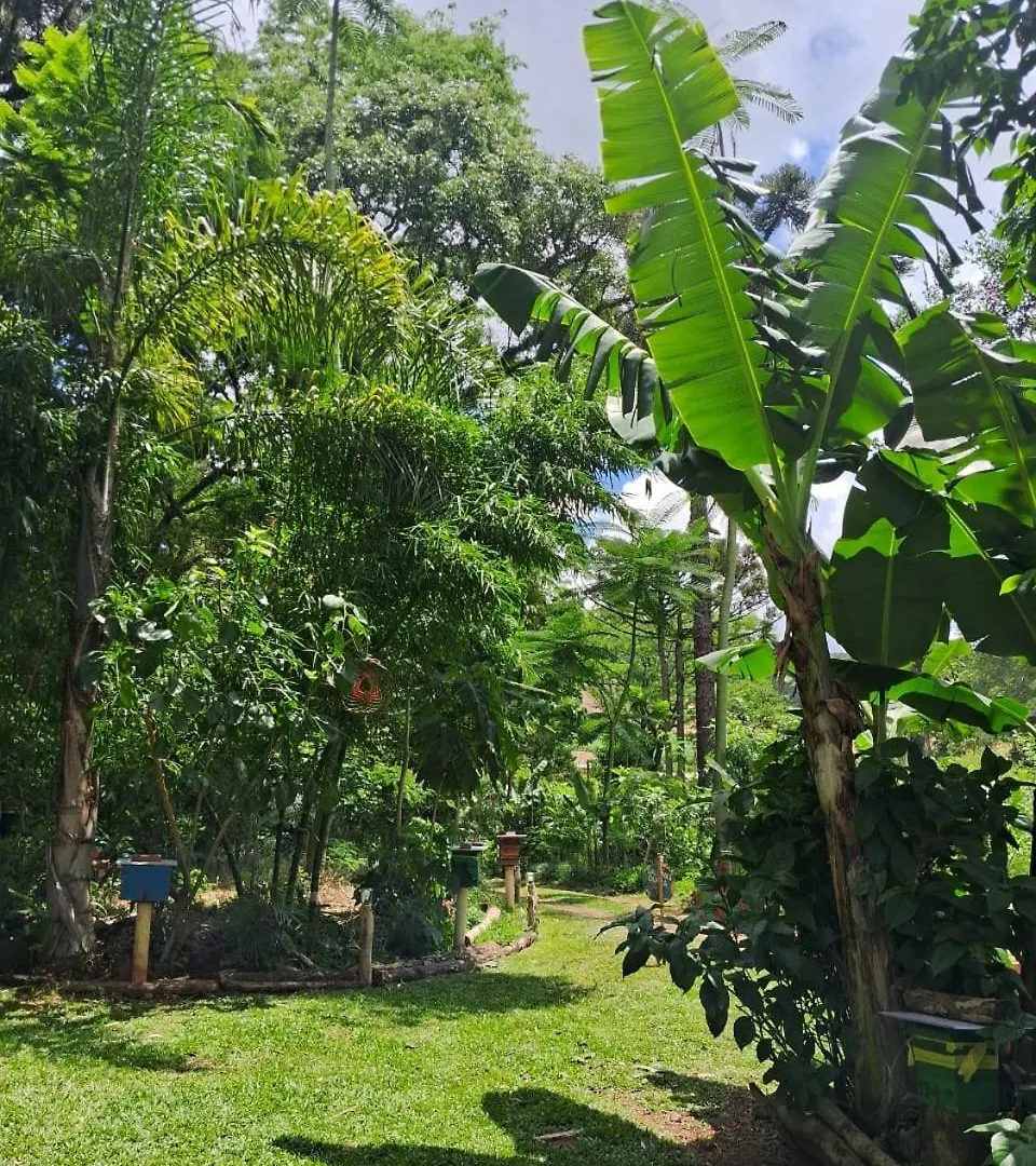 Quarto em Acomodações Particulares Ecopousada - Sitio Aborigene Sao Lourenco do Oeste Brasil
