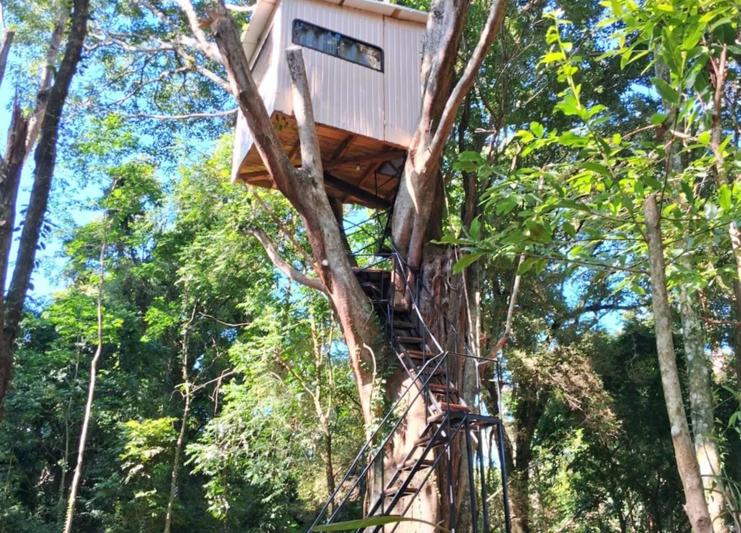 Ecopousada - Sitio Aborigene Sao Lourenco do Oeste 民宿