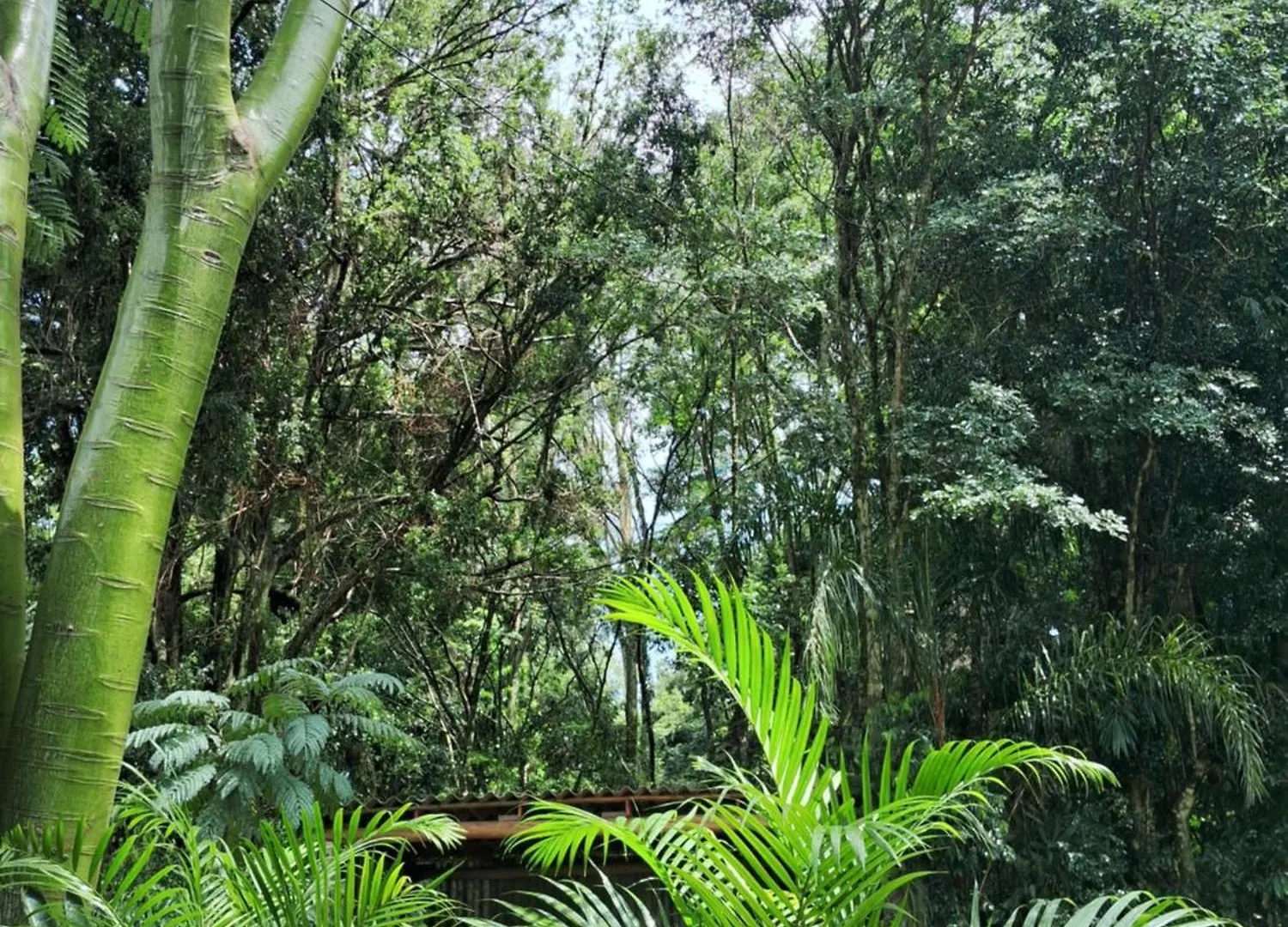 Quarto em Acomodações Particulares Ecopousada - Sitio Aborigene Sao Lourenco do Oeste